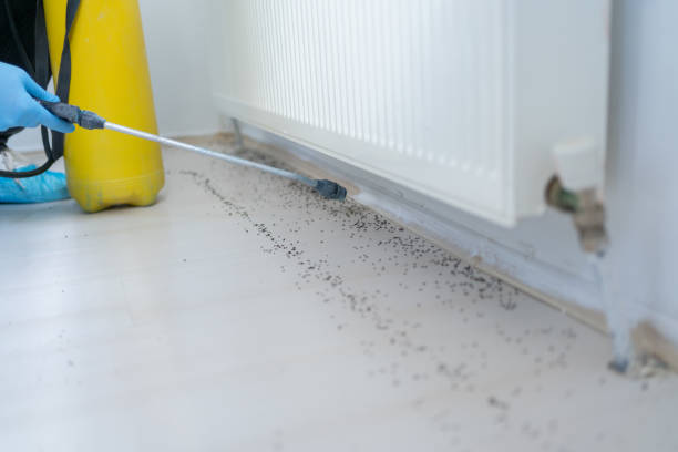 Best Mosquito Control Services  in Rafter J Ranch, WY