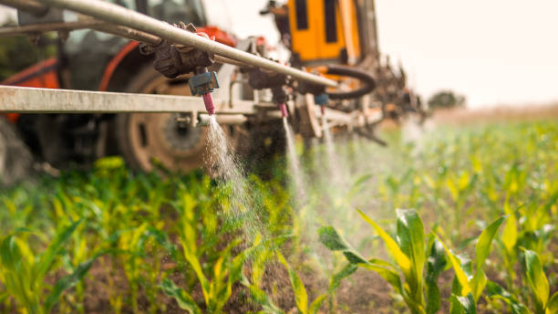Best Commercial Pest Control Services  in Rafter J Ranch, WY